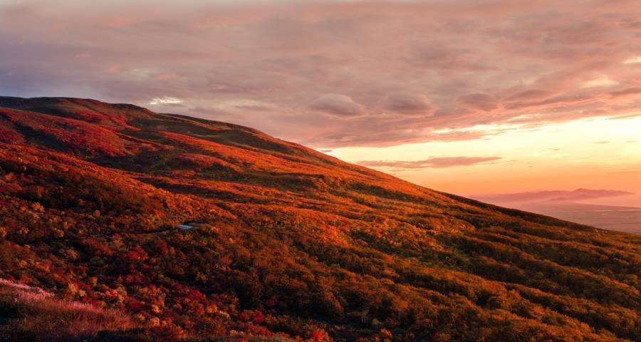 家电市场的这个消费陷阱为何逃不掉?企业投入少,职业没尊严-家电圈官网