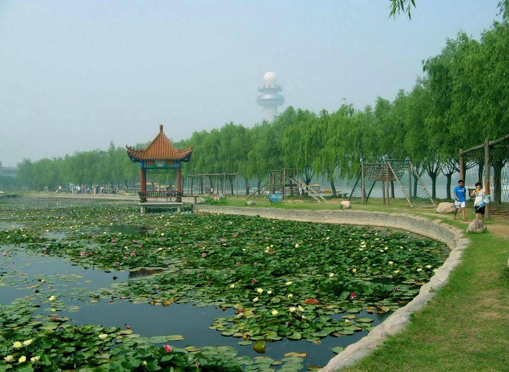河南濮阳绿色庄园图片图片