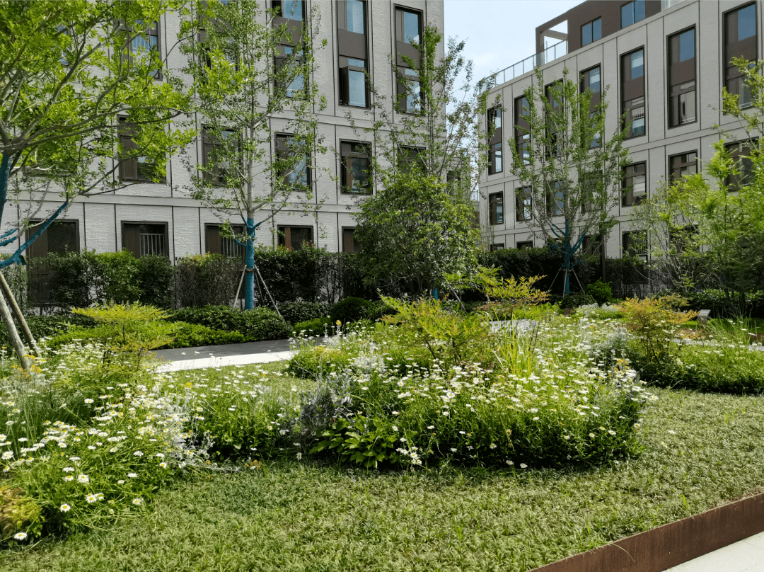 热烈祝贺中科高新产业园与河南林鸣园林绿化公司签订准入驻协议!