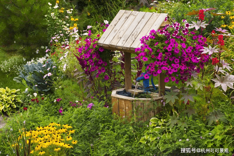 利用植物搭配构成视觉韵律