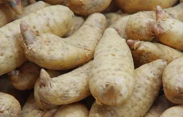 假天麻的辨别方法常见的假天麻主要有以下几种:马铃薯:别名土豆,来源