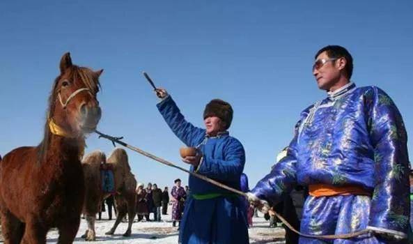 带你了解蒙古族五畜文化