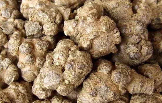 三枝七叶三七降三高天然健康不伤身