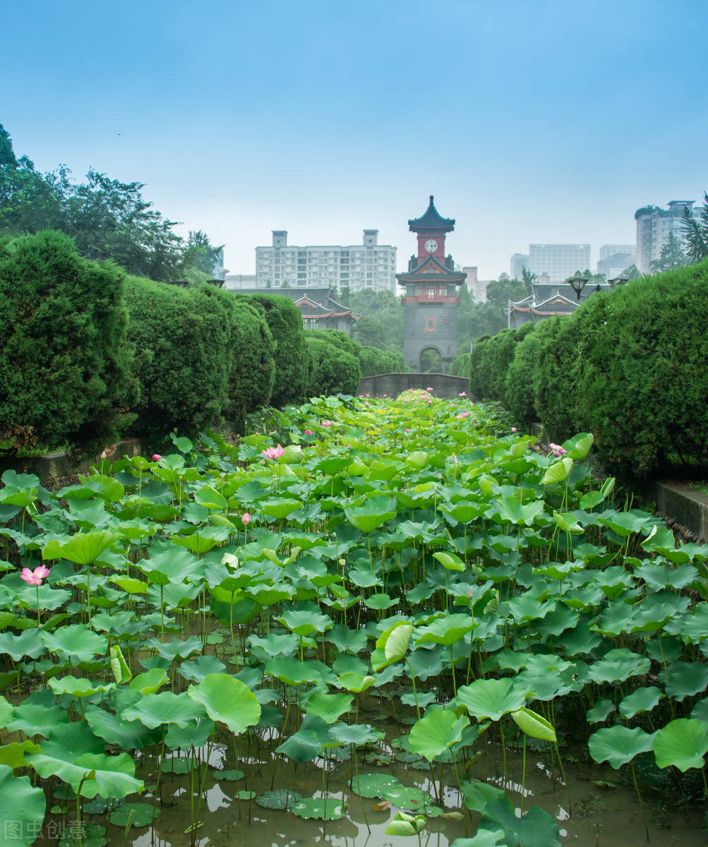 地址:四川省成都市武侯区一环路南一段24号望江楼公园从川大出来走几