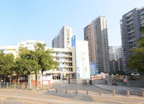 宝安区哪些小学比较好深圳宝安区前十名小学介绍
