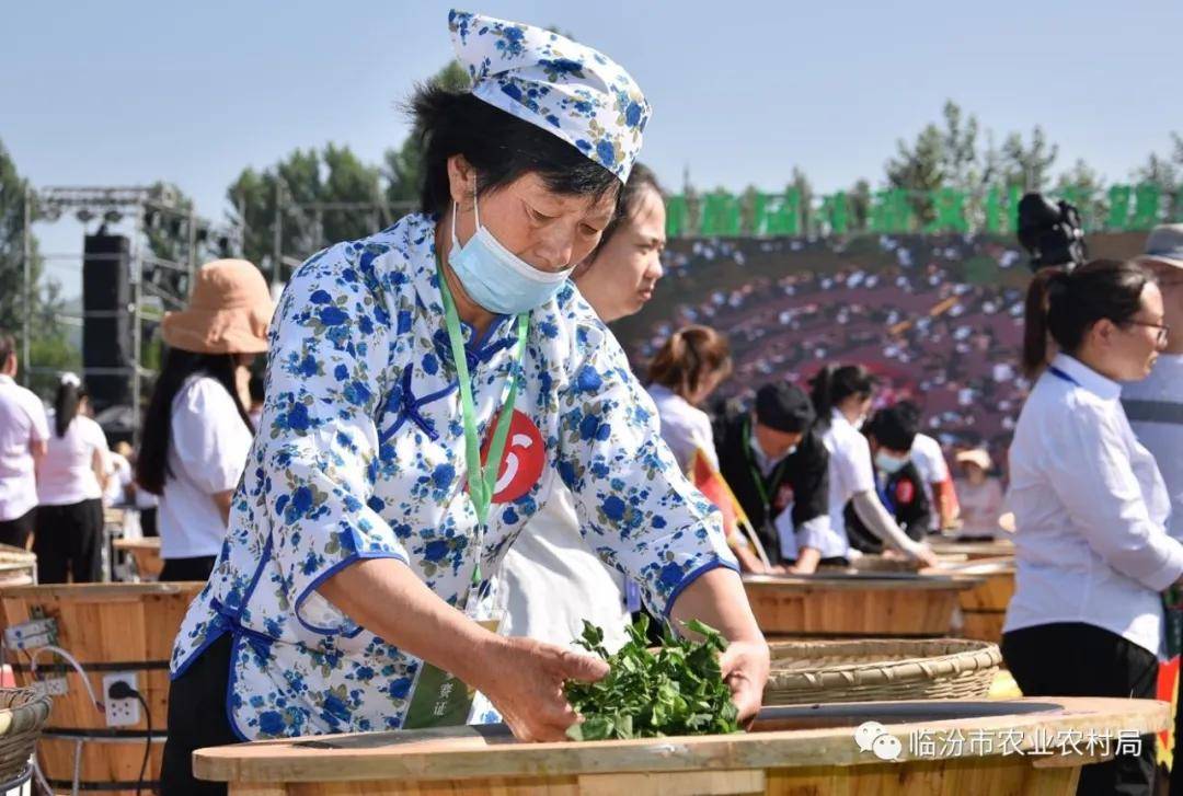 一口小锅撬动一个大产业 安泽"斗茶"唱响连翘药茶