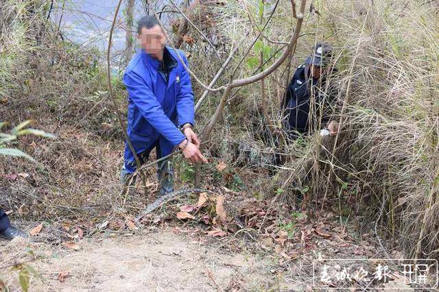 正规超声波捕野鸡机器图片