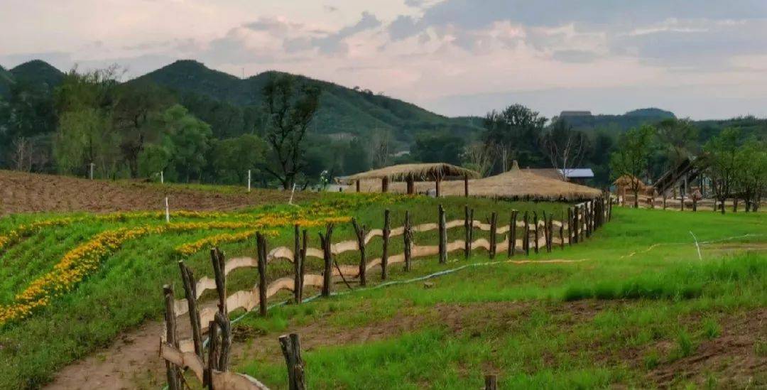 因疫新生|亲子游,就去玉米冒险村