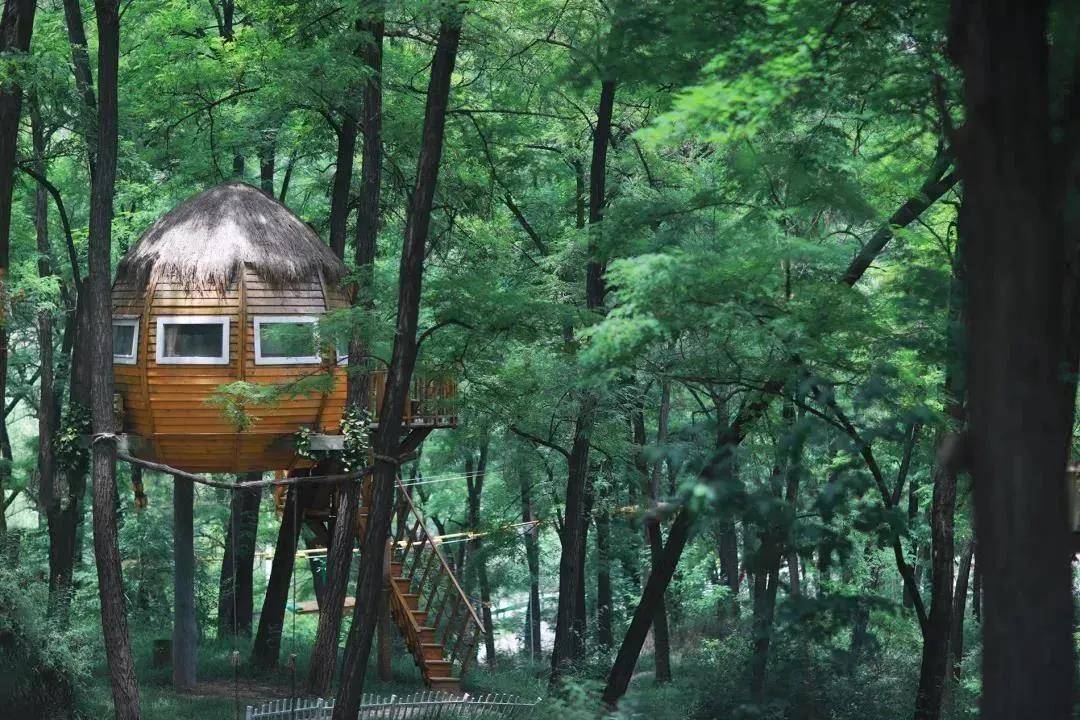原创森林里的童话树屋
