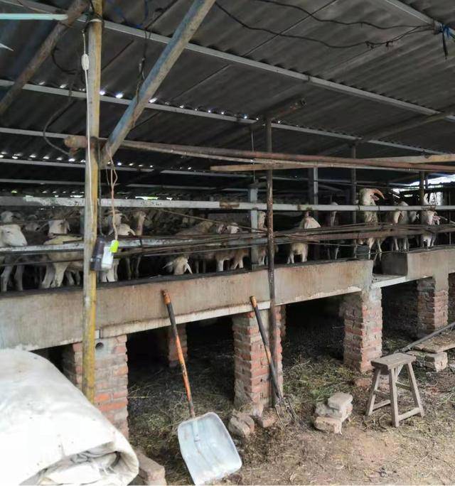 大庙村贫困户王结实积极自主创业脱贫
