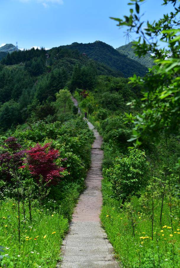 镇坪县鸡心岭图片