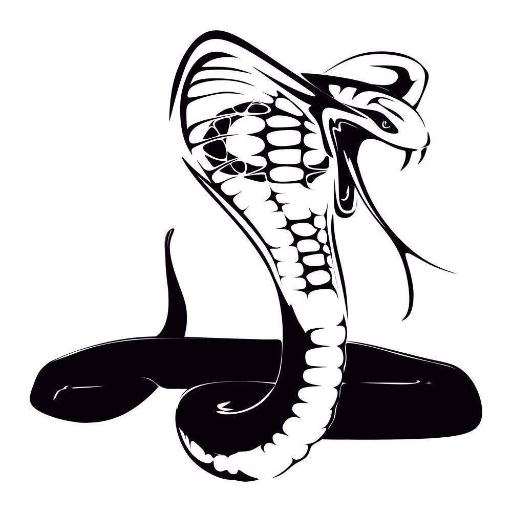 毒蛇画法巨型图片