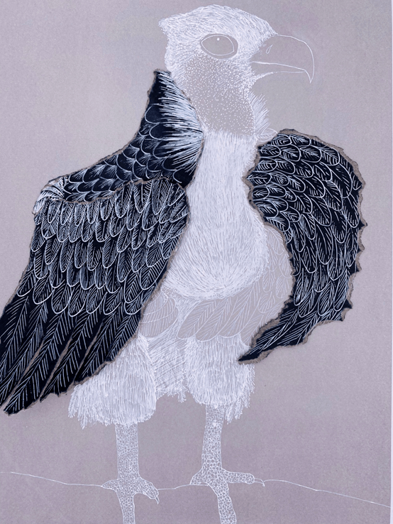 【推荐】绘画教程 百度网盘|绘画电子书下载!