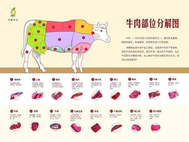 牛肉部位分割图图解图片