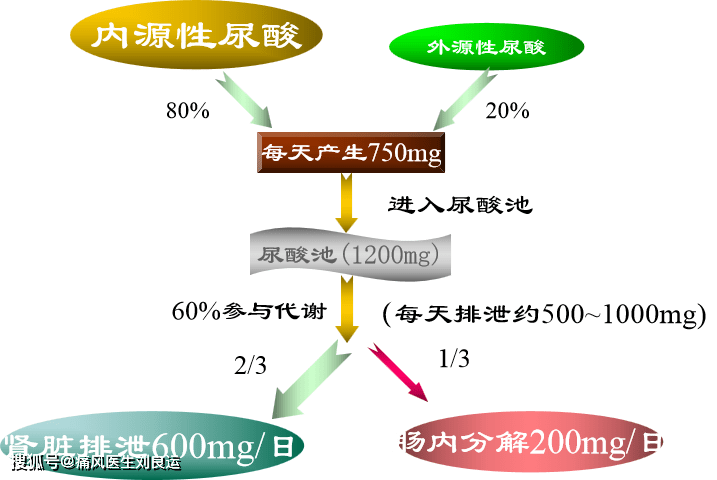 痛风定胶囊降尿酸原理图片