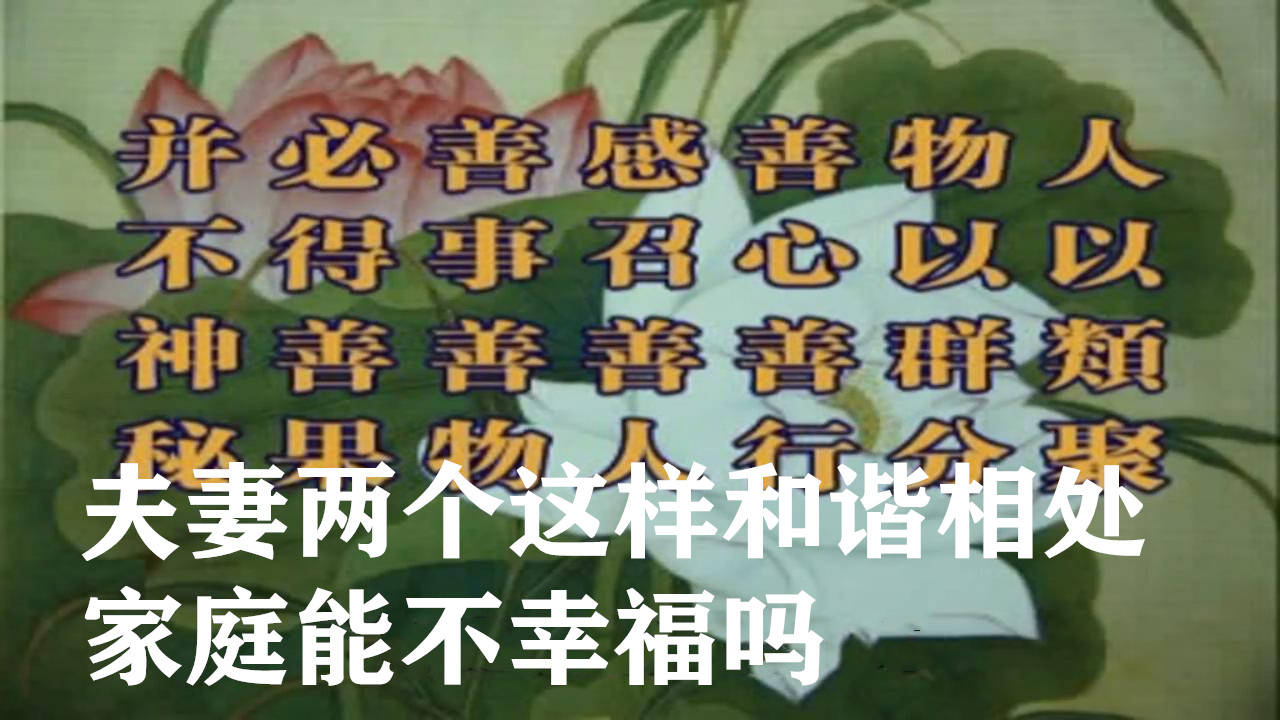 干净夫妇-究竟有多甜-第一对全网都在磕的网红 (干净小夫妻)