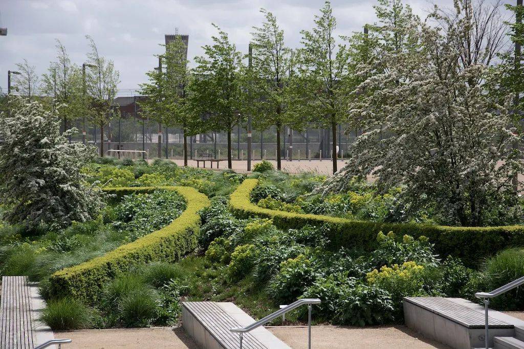 nigel教授与james教授共同进行植物设计的伦敦奥运会场馆景观,欧洲园