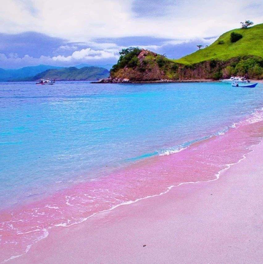 澳大利亚粉色沙滩