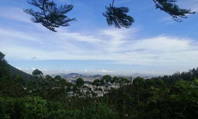 從高山到機場深圳市寶安教育城依山望海,風景如畫.