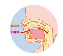 潮知识跑步时到底应该用嘴巴还是鼻子呼吸