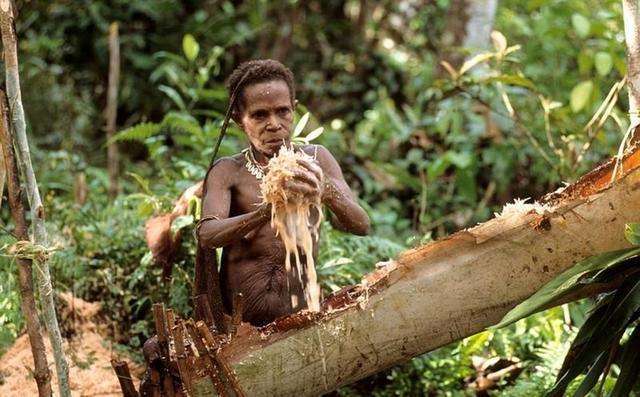 尼科巴群岛土著人图片