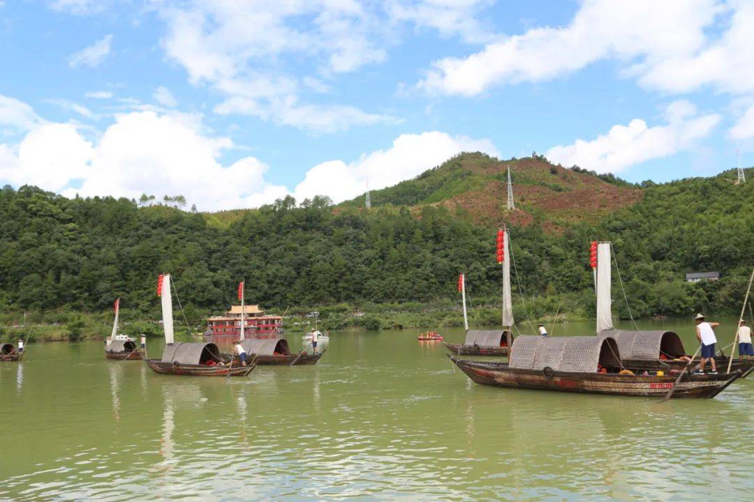 船帮文化艺术节 | 无边泳池开放首日&瓯江龙舟赛精彩大放送!