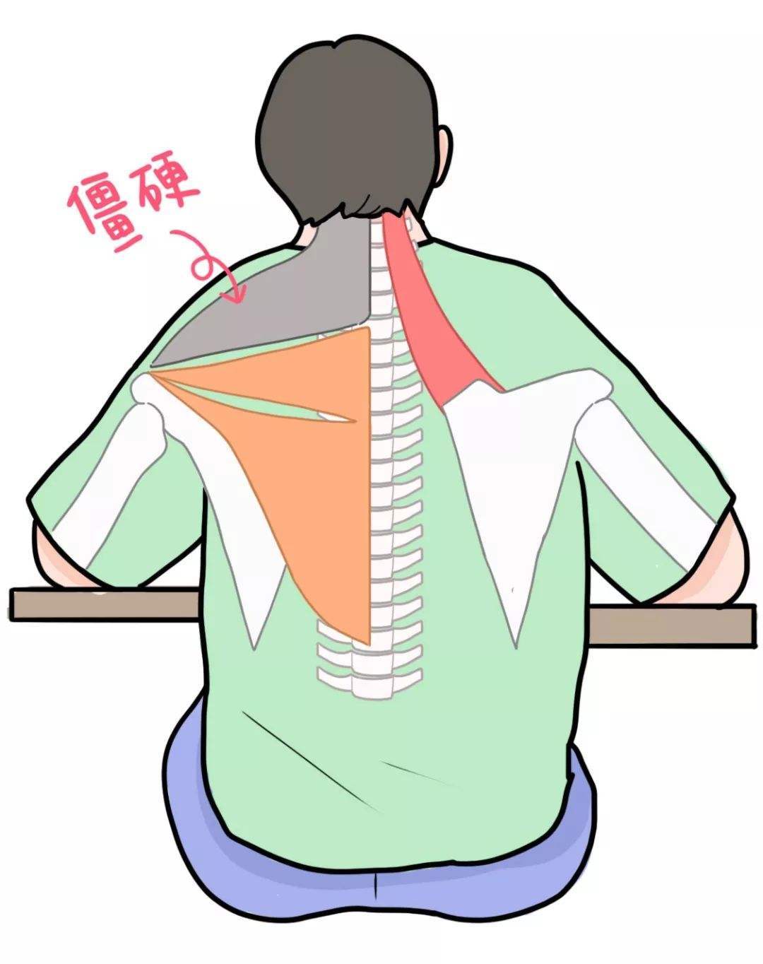 一个牛面式动作,改善斜方肌酸痛僵硬,促进全身血液循环