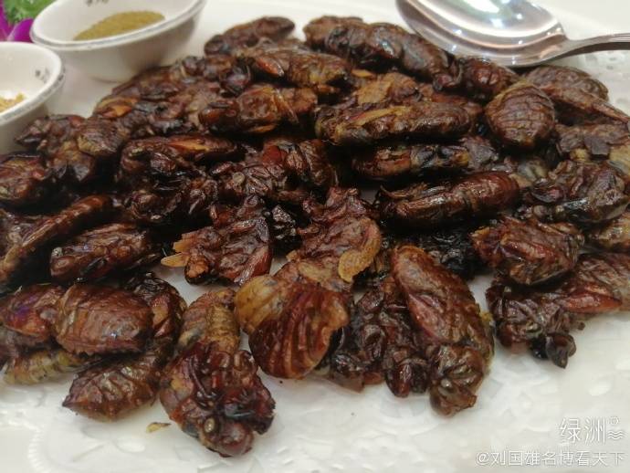 南宁这道"香煎金蝉"香香的,脆脆的,可谓酥香又不油腻