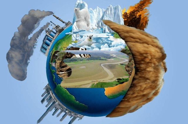 目前尚不清楚这些巨大的乌龟在哪里以及为什么会重新出现在地球上