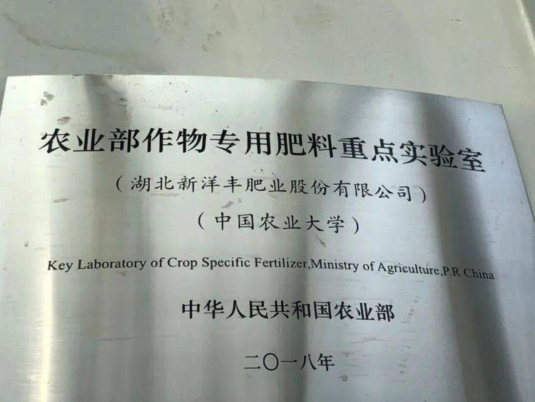 农林卫视中国农资秀携手新洋丰走进河北曲周硬核基因洋丰优雅