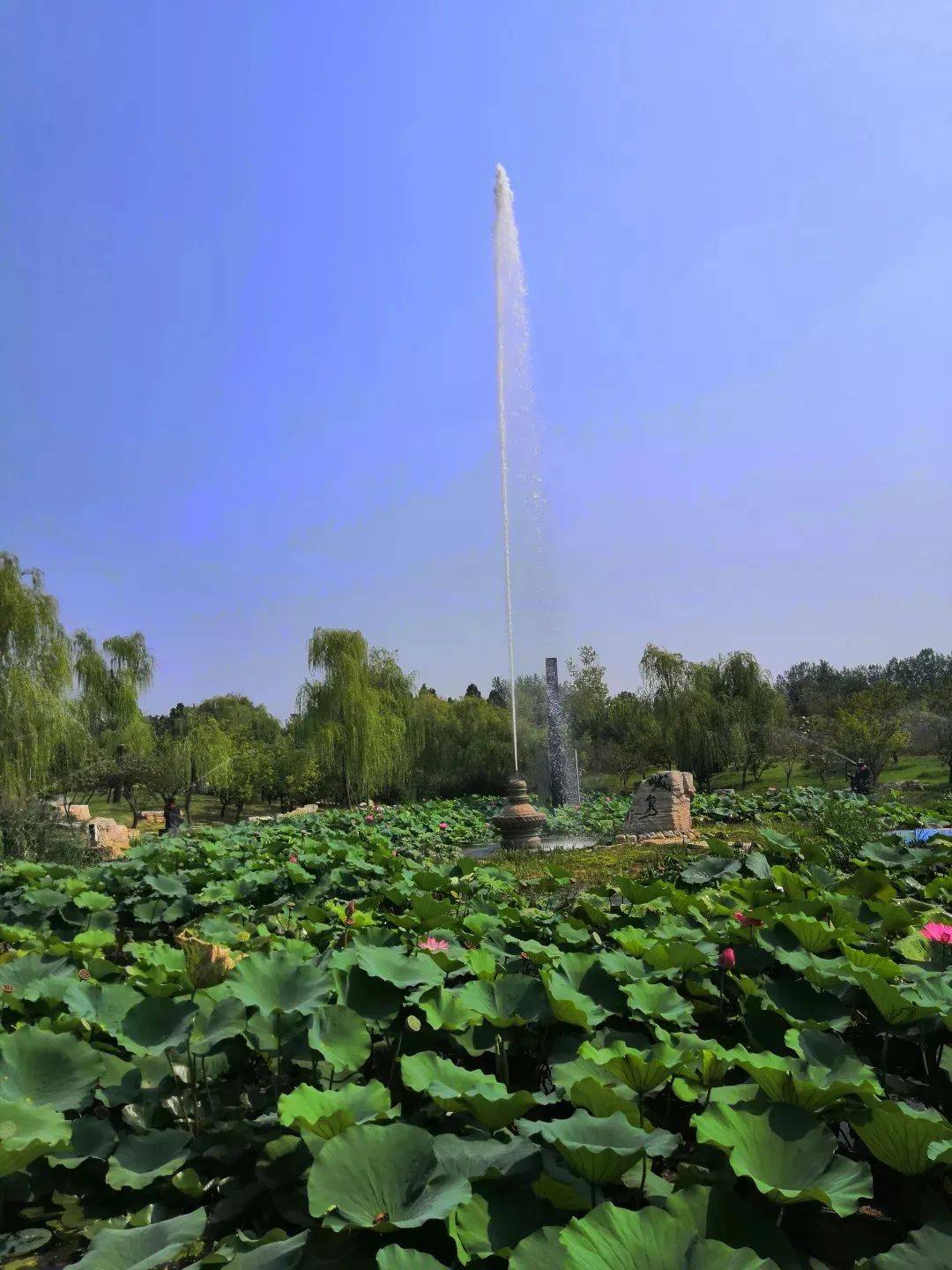泰安这个景区的攻略送给你景色美丽还好玩
