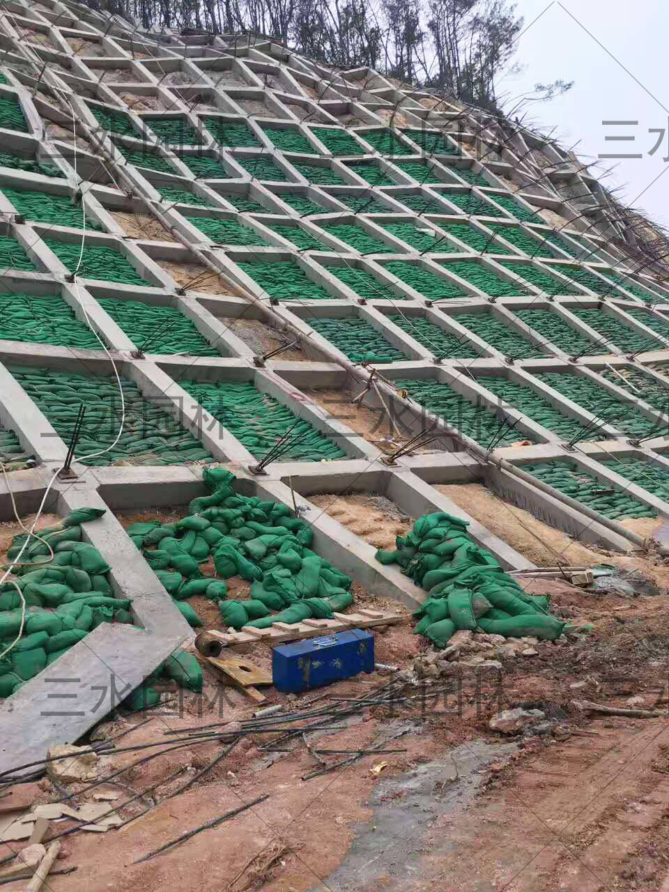 且悬挂钢丝网罩面防护