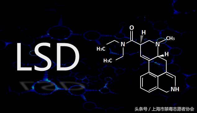 lsd是什么意思,lsd有什么含义吗-团团金服