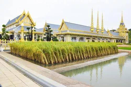 泰国循环农业与有机肥资源利用的发展与启示