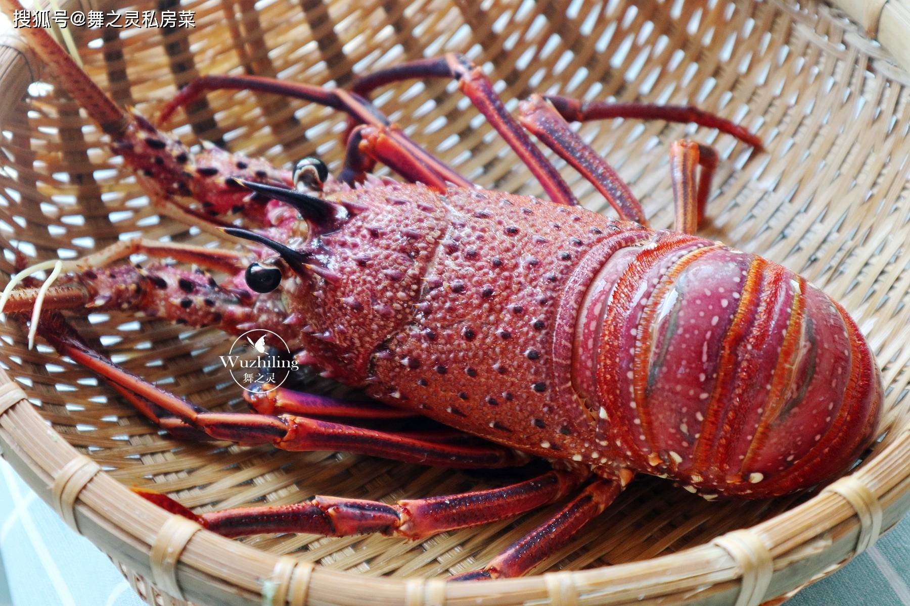 入秋后多给孩子吃这菜营养美味防秋燥有条件要多吃