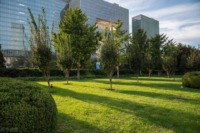 河北绿化平台与上海泓晟集团达成合作,共创美好未来