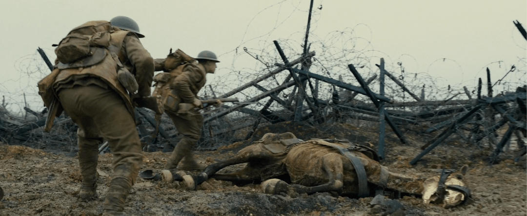 原创全程不敢喘息!今年最牛战争片,终于来了