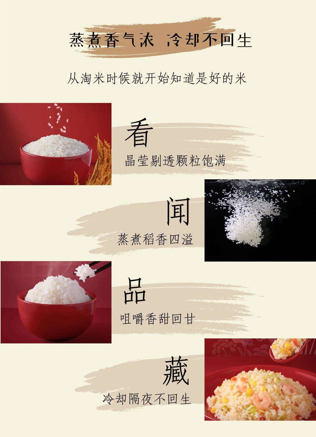 种福田海水稻被15位中韩知名主播力荐