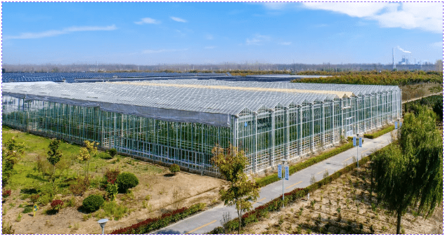 【江苏绿港】甘肃省副省长程晓波莅临敦煌种业调研指导