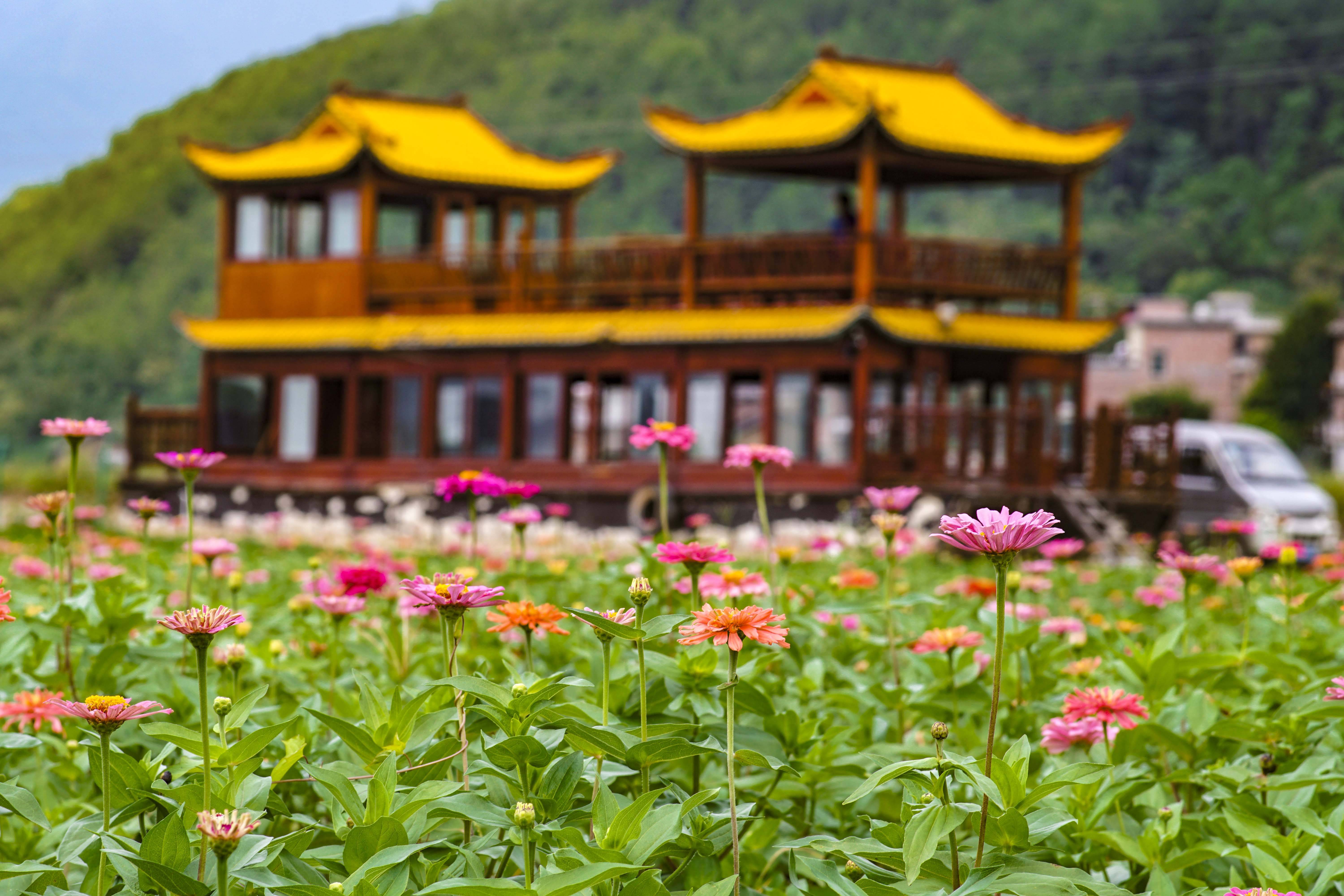 8月江华古瑶部落花海景区光影电音节,灯光秀,电音趴,游花海,嗨玩一夏