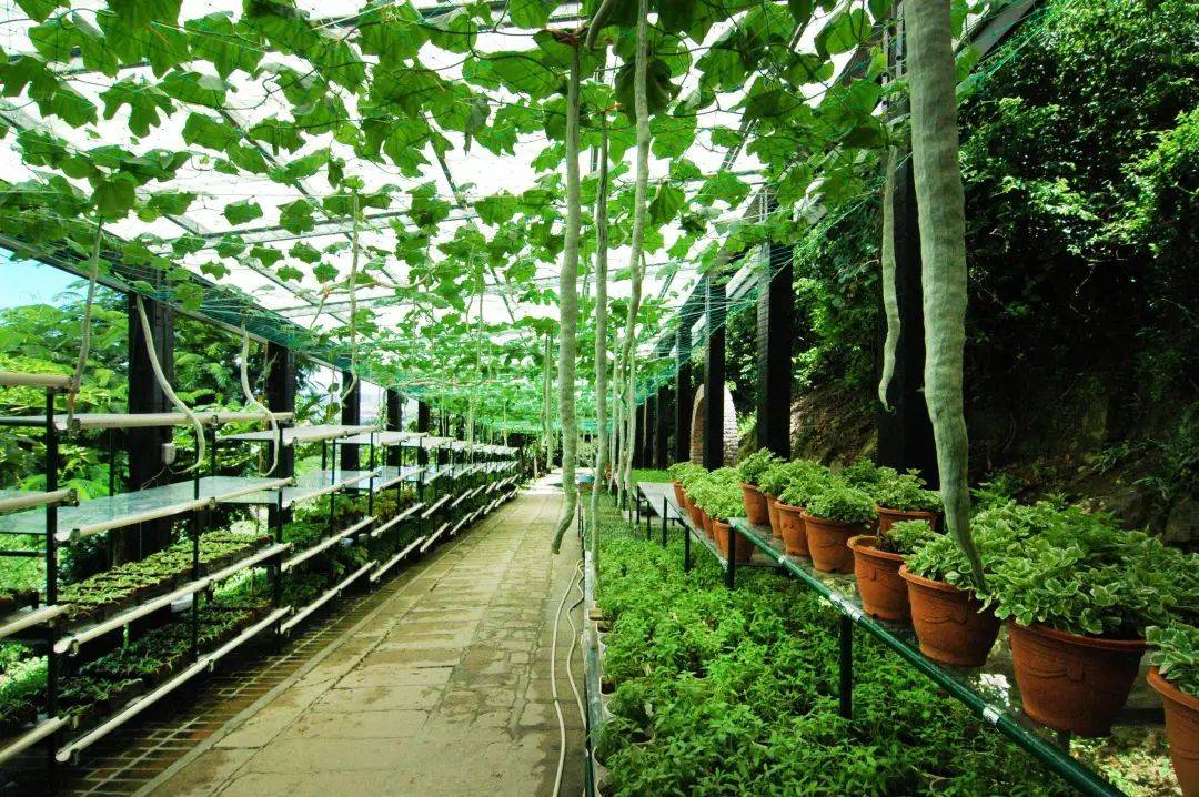 瓜果公园内设的"城市农夫"自留地 给游客提供一个自身体验农村生活 亲