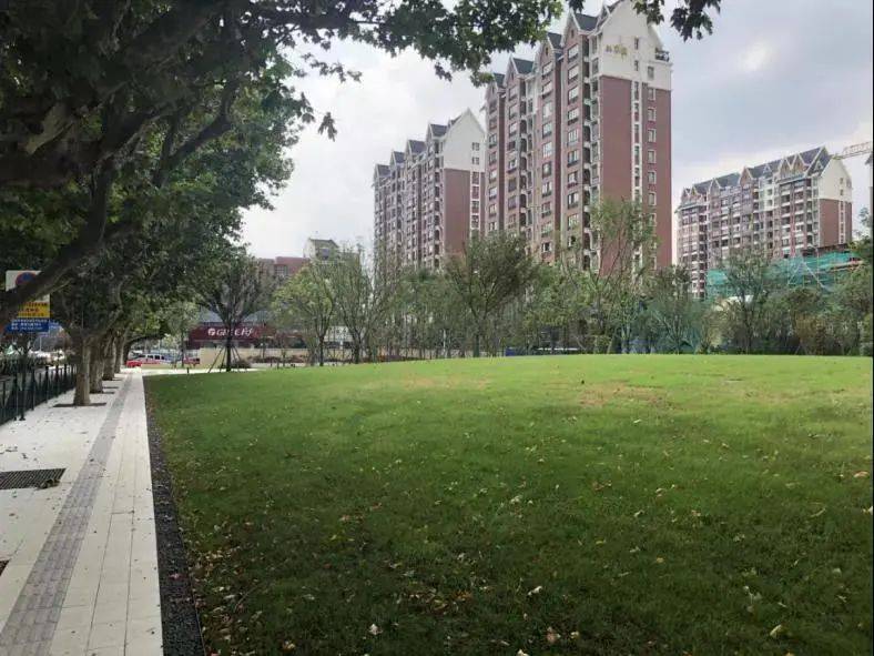 美!江阴城西"冒"出大片绿地