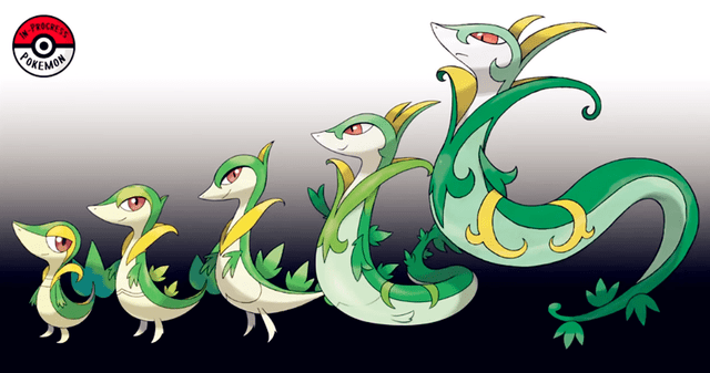 原创宝可梦从三段形态变成五段炎武王的肥胖历程大剑鬼可惜了