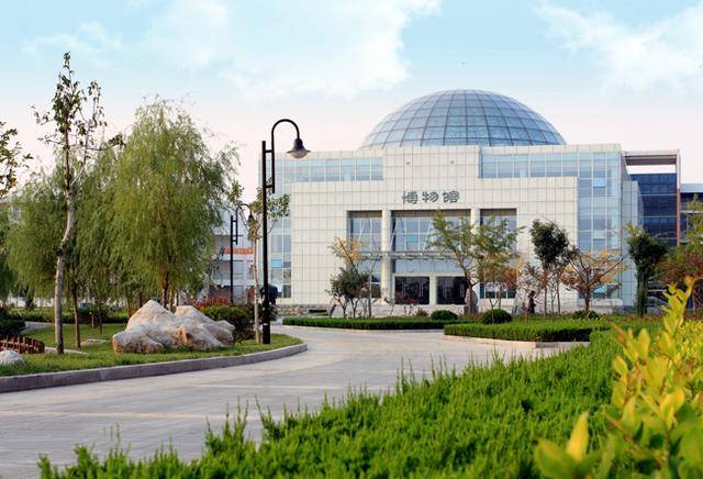 临沂大学博物馆