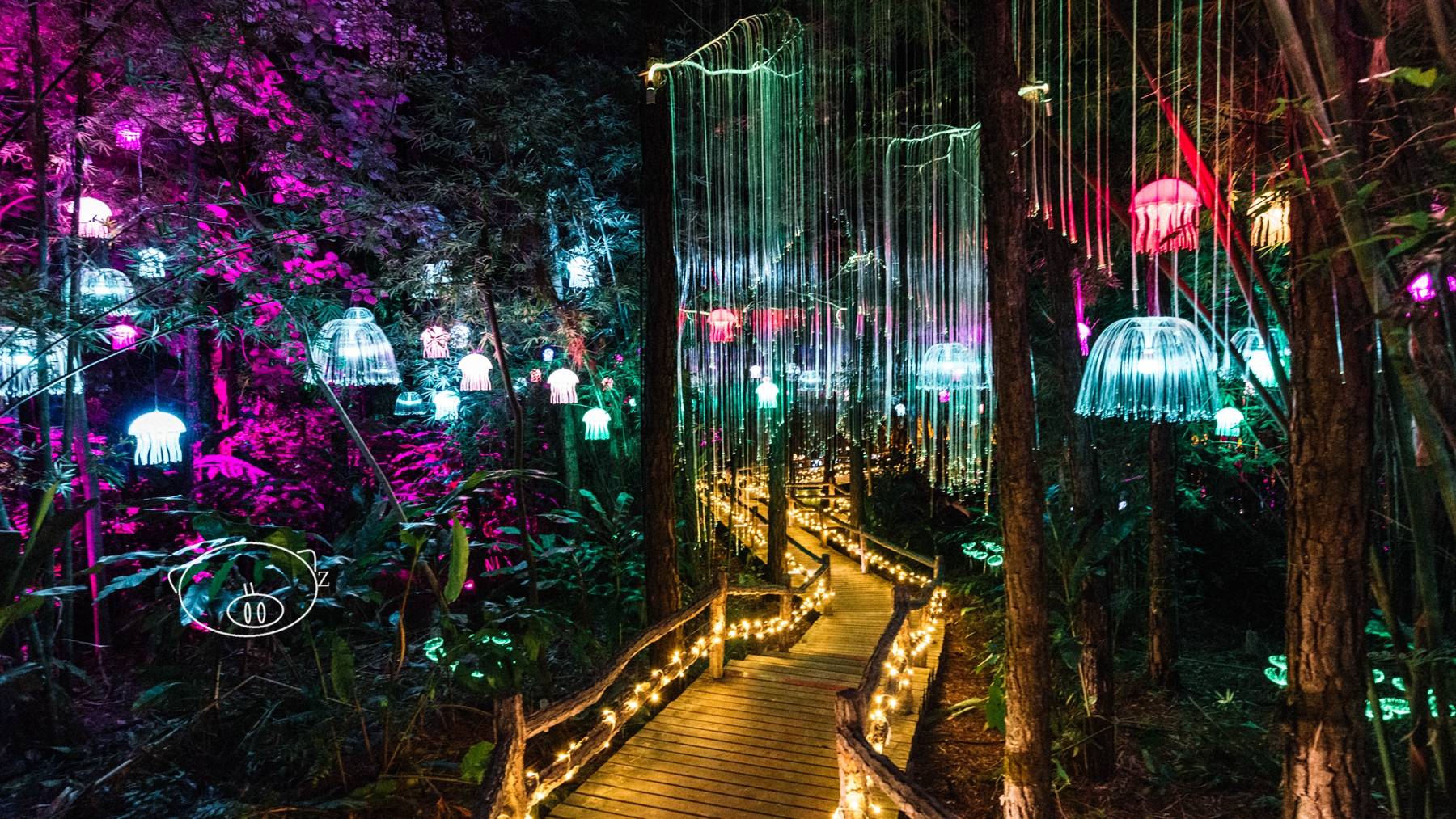 清远|佛冈唯一刺激森林漂,高达3米"海啸"冲浪池,都能满足你