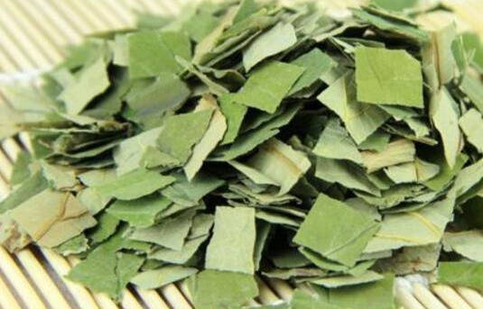 荷叶茶的功效与作用及禁忌