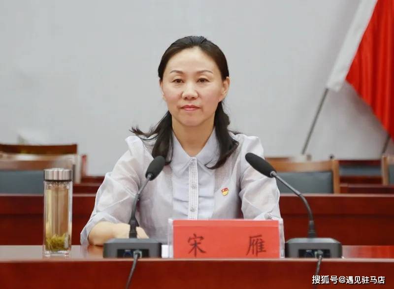 驻马店市委第九巡察组巡察驿城区委办公室等8个机关