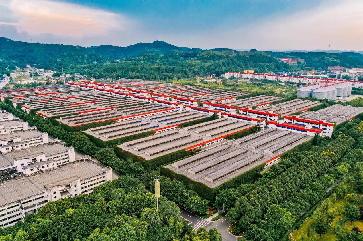 决战"紫禁之巅"!白酒品牌如何逆袭?还得看这个突围佼佼者!