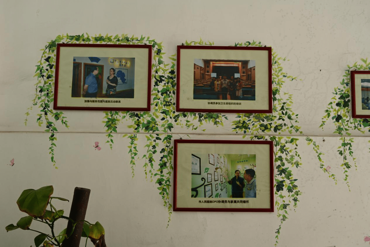 社会实践|广东学子三下乡：与“生死摆渡人”的对话，深入了解器官捐献