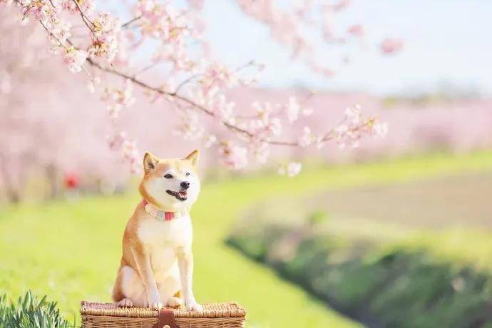 图片[8] - 【xizi被窝段子20200818】人生的旅程就是这样：用大把时间迷茫 在几个瞬间成长 - xizi